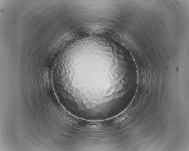 X0000060780506200511171246