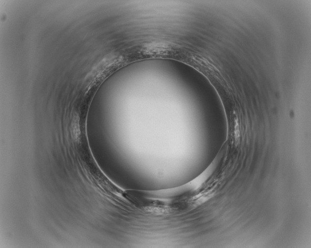 X0000060780508200511171246