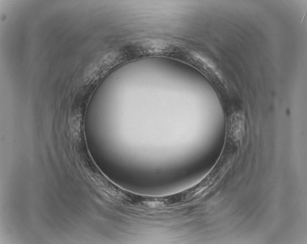 X0000060780509200511171246