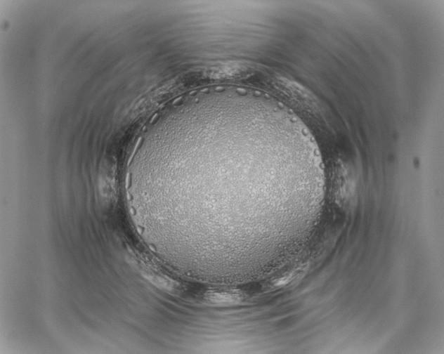 X0000060780510200511171246