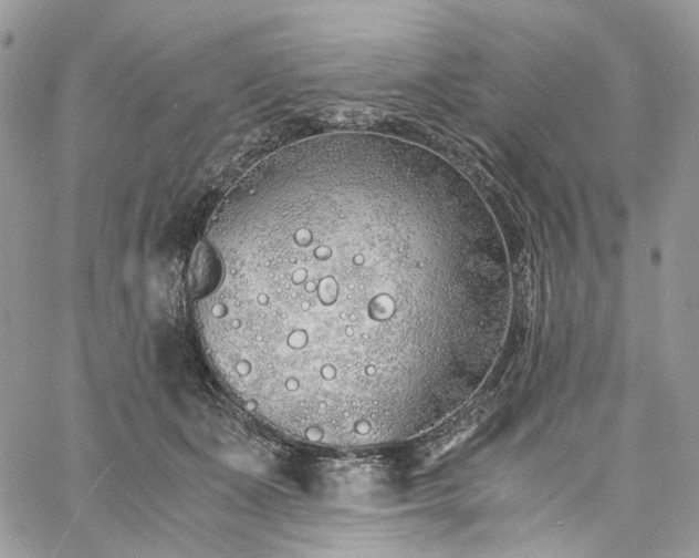 X0000060780511200511171246