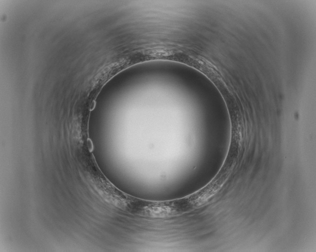 X0000060780512200511171246