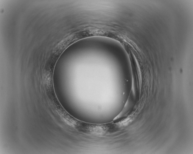 X0000060780513200511171246