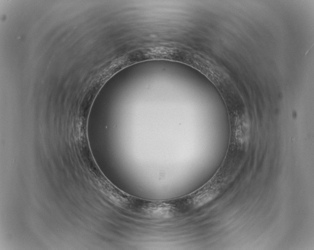 X0000060780514200511171246