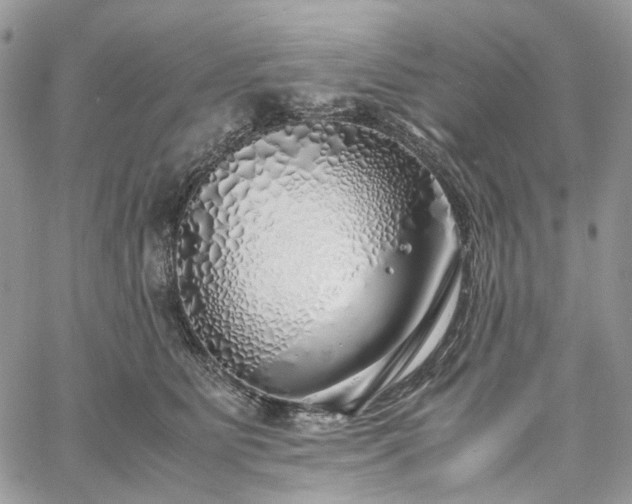 X0000060780515200511171246