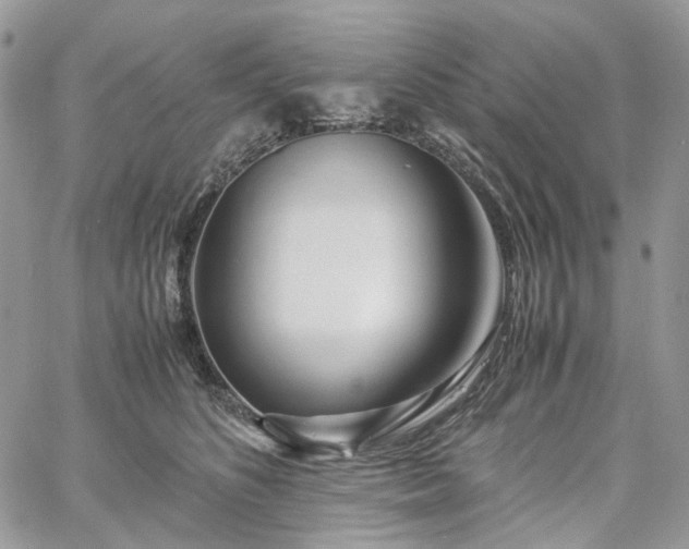 X0000060780516200511171246