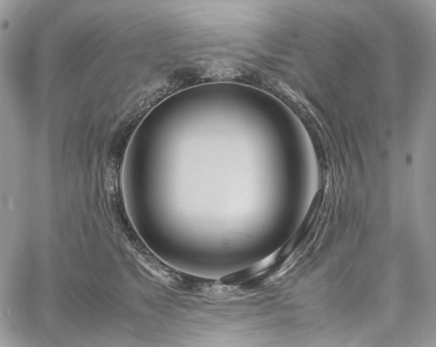 X0000060780517200511171246