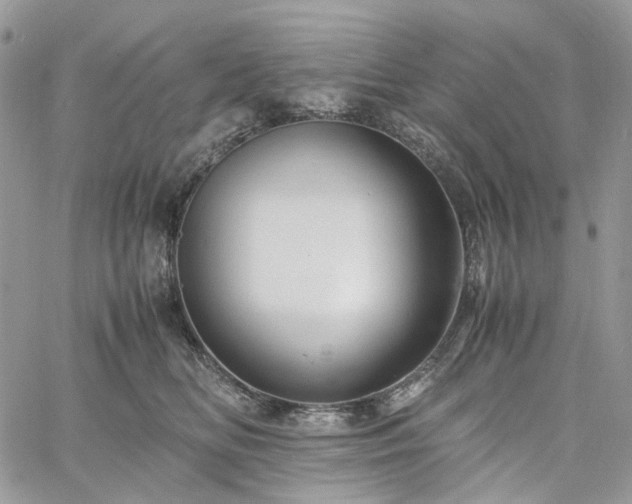 X0000060780518200511171246