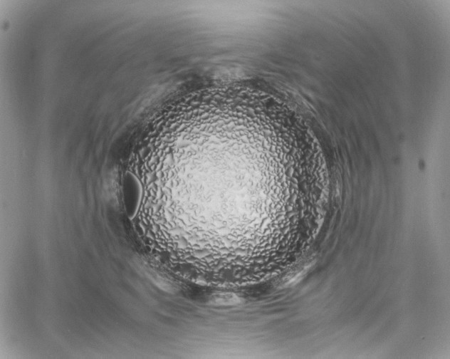 X0000060780519200511171246