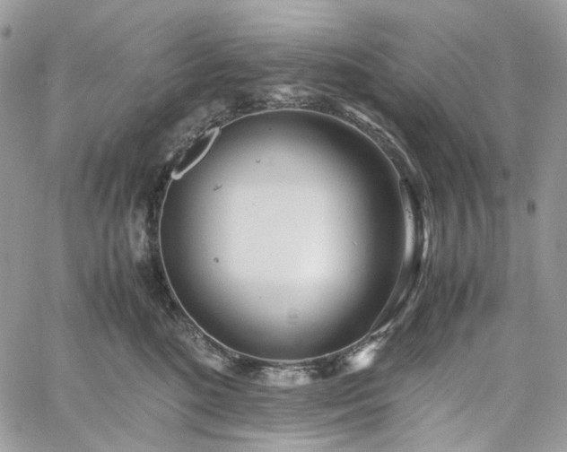 X0000060780520200511171246