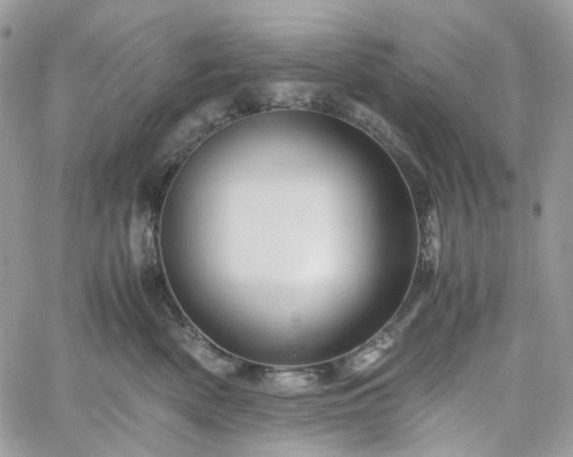 X0000060780522200511171246