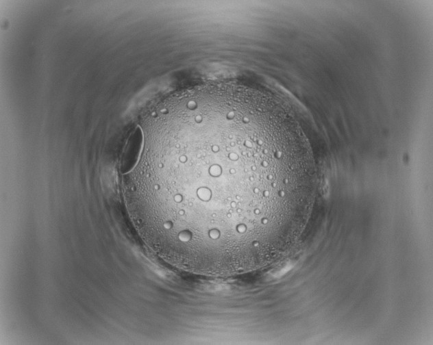 X0000060780523200511171246