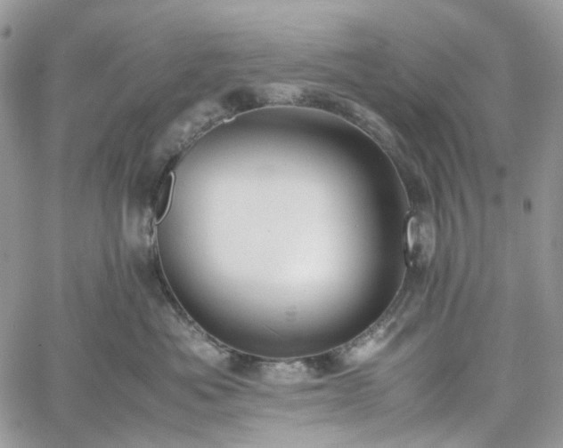 X0000060780525200511171246