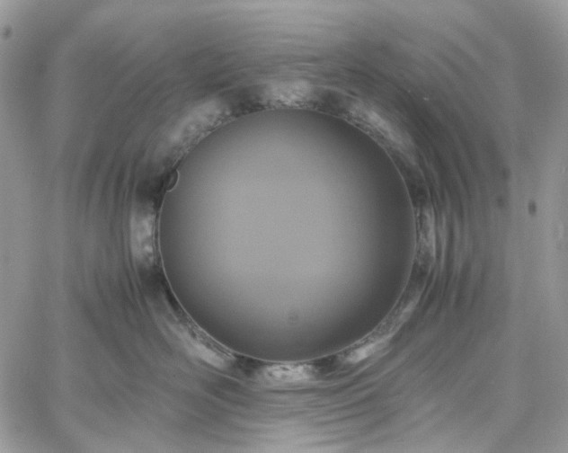 X0000060780526200511171246