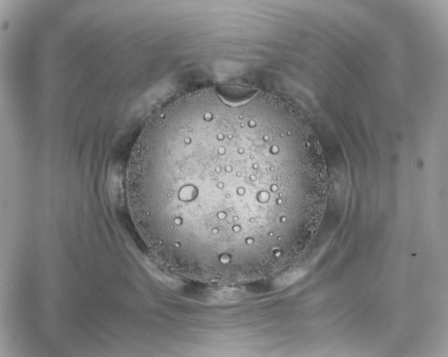 X0000060780527200511171246