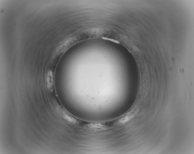 X0000060780528200511171246