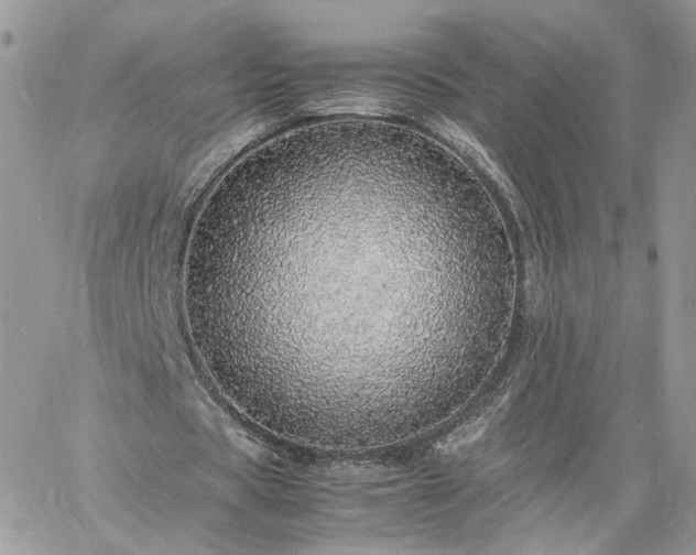 X0000060780529200511171245