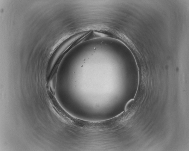 X0000060780530200511171245