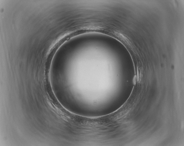 X0000060780531200511171245