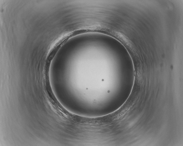 X0000060780532200511171245