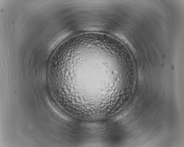 X0000060780533200511171245