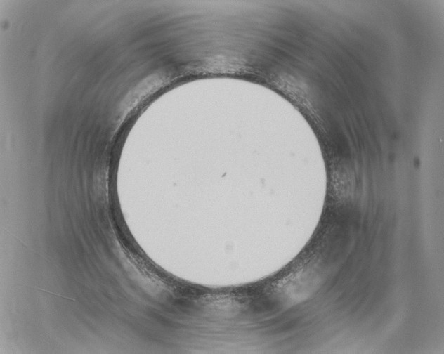 X0000060780534200511171245