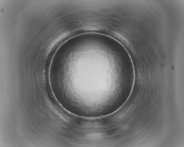 X0000060780535200511171245