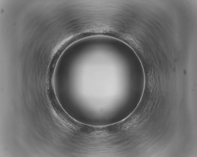 X0000060780536200511171245