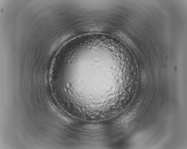 X0000060780537200511171245