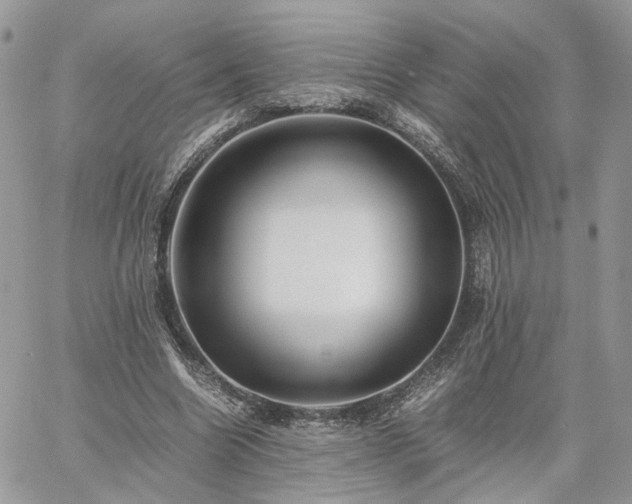 X0000060780538200511171245