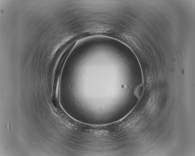 X0000060780539200511171245