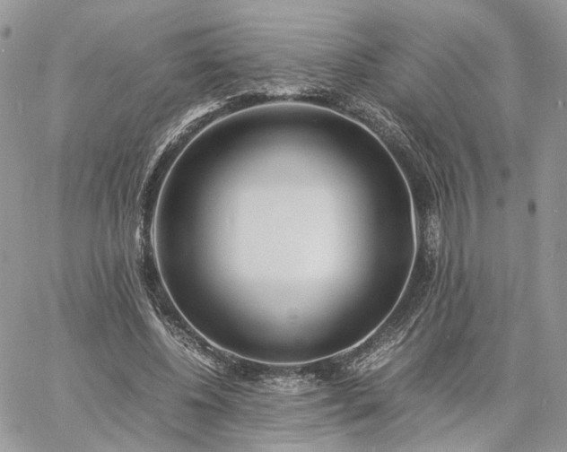 X0000060780540200511171245