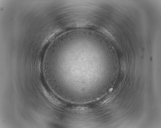 X0000060780542200511171245