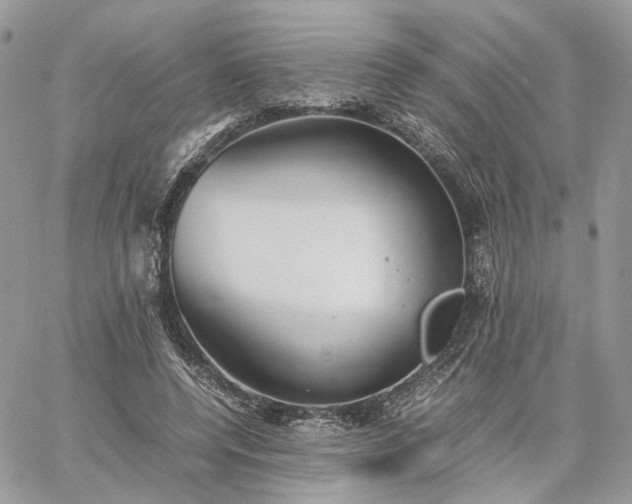 X0000060780544200511171245