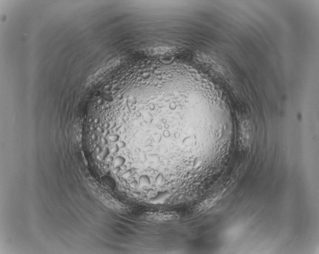 X0000060780545200511171245