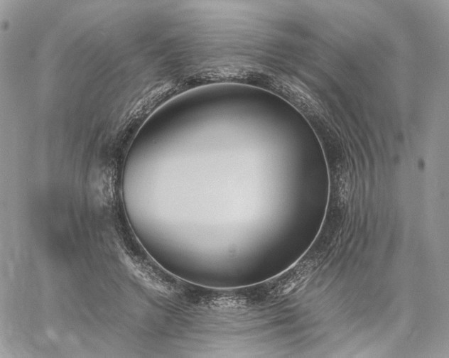 X0000060780546200511171245