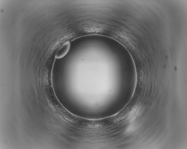 X0000060780547200511171245