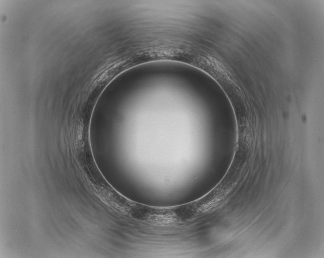 X0000060780548200511171245