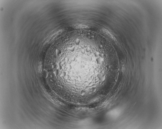 X0000060780549200511171245