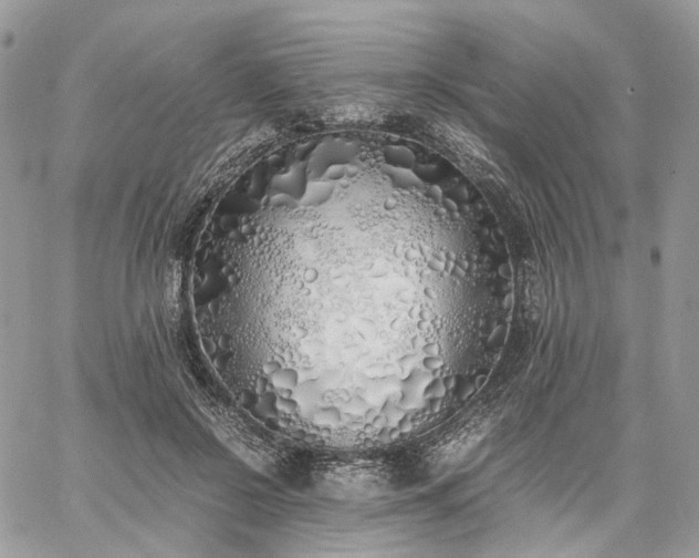 X0000060780550200511171245