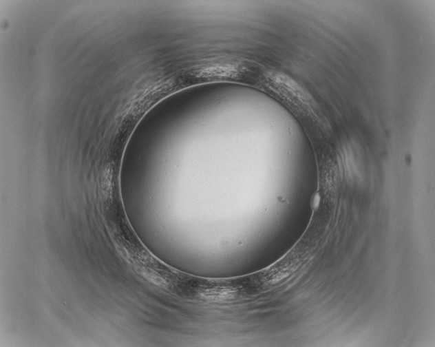 X0000060780551200511171245