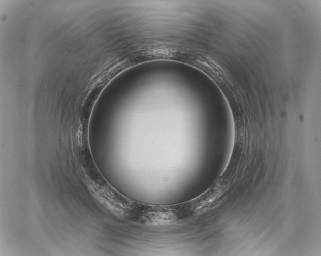 X0000060780552200511171245