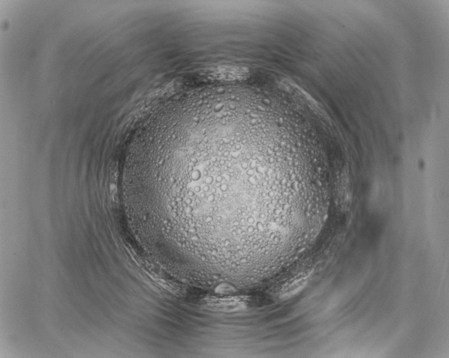 X0000060780553200511171246