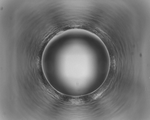 X0000060780556200511171246