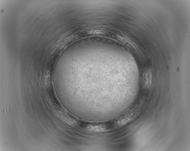 X0000060780557200511171246