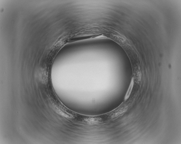 X0000060780558200511171246