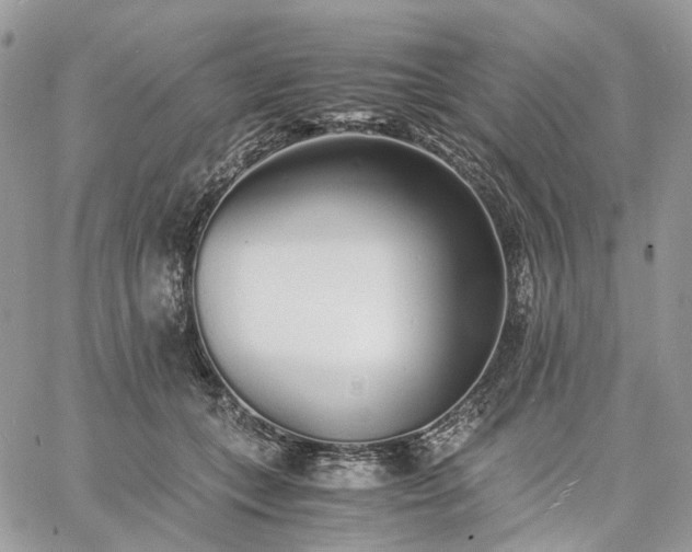 X0000060780559200511171246