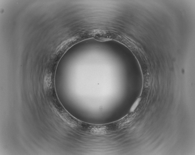 X0000060780560200511171246