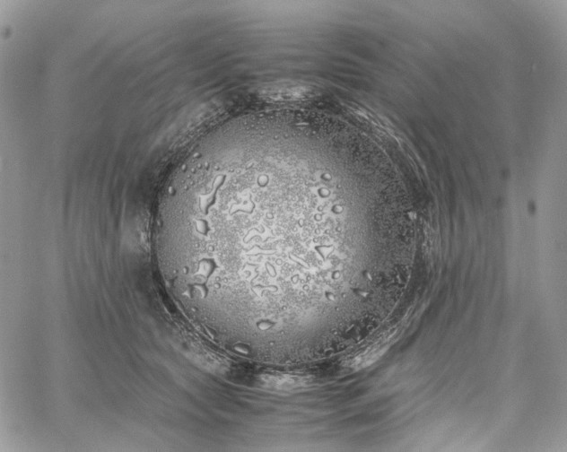 X0000060780561200511171246