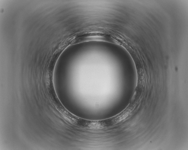 X0000060780562200511171246